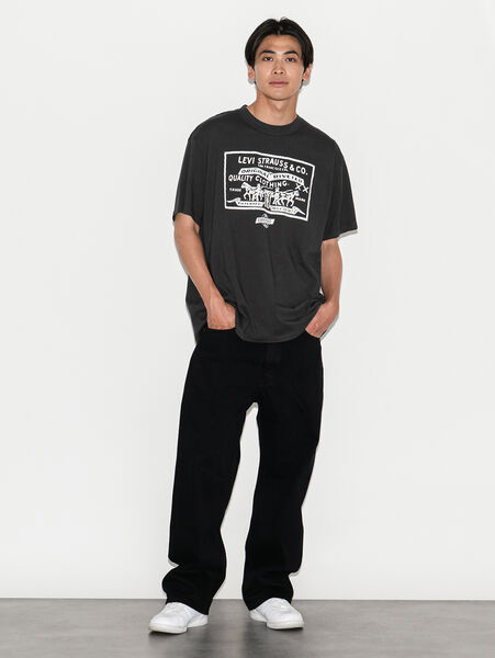 LEVI'S® SKATE BAGGY 5ポケット ブラック NEW BLACK GRAPE